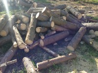 Palivé dřevo  Radíkov, dřevo na topení Radíkov, štípané dřevo Radíkov