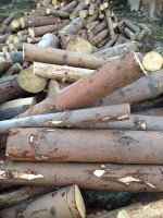 Palivé dřevo  :  Paseka, dřevo na topení Paseka, štípané dřevo Paseka